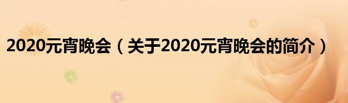 2020元宵晚會（關(guān)于2020元宵晚會的簡介）