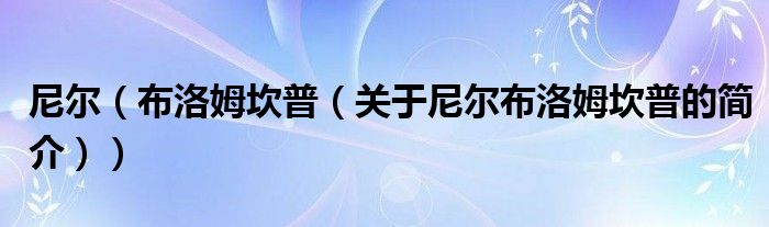 尼爾（布洛姆坎普（關(guān)于尼爾布洛姆坎普的簡介））