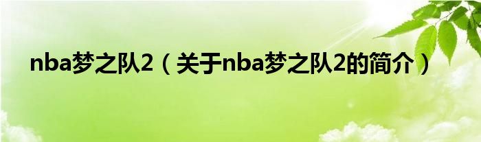 nba夢之隊2（關(guān)于nba夢之隊2的簡介）