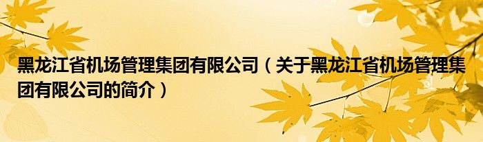 黑龍江省機(jī)場管理集團(tuán)有限公司（關(guān)于黑龍江省機(jī)場管理集團(tuán)有限公司的簡介）