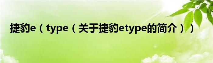 捷豹e（type（關于捷豹etype的簡介））