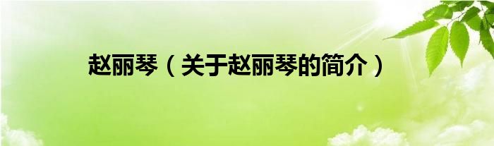 趙麗琴（關(guān)于趙麗琴的簡(jiǎn)介）