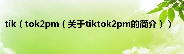 tik（tok2pm（關(guān)于tiktok2pm的簡(jiǎn)介））