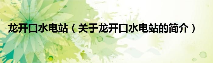 龍開(kāi)口水電站（關(guān)于龍開(kāi)口水電站的簡(jiǎn)介）