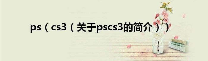 ps（cs3（關(guān)于pscs3的簡(jiǎn)介））