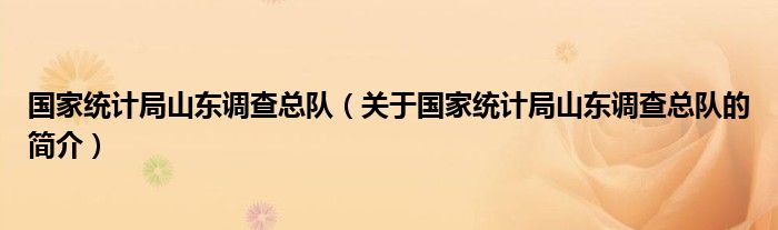 國家統(tǒng)計局山東調查總隊（關于國家統(tǒng)計局山東調查總隊的簡介）