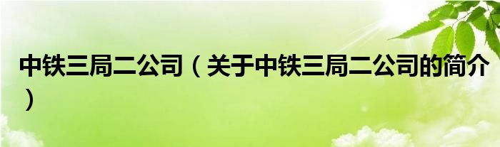 中鐵三局二公司（關(guān)于中鐵三局二公司的簡(jiǎn)介）