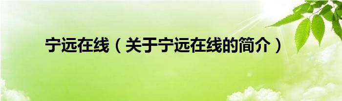 寧遠在線（關(guān)于寧遠在線的簡介）