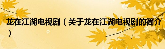 龍在江湖電視?。P(guān)于龍在江湖電視劇的簡介）