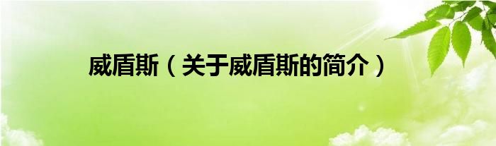 威盾斯（關(guān)于威盾斯的簡(jiǎn)介）