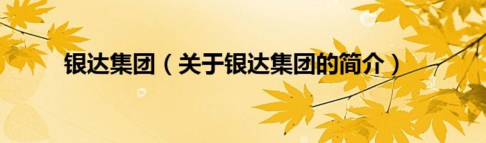 銀達(dá)集團(tuán)（關(guān)于銀達(dá)集團(tuán)的簡(jiǎn)介）