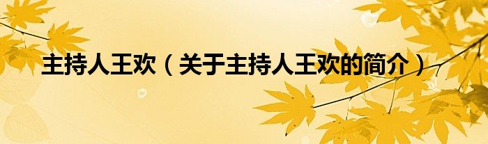 主持人王歡（關(guān)于主持人王歡的簡(jiǎn)介）