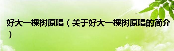 好大一棵樹原唱（關(guān)于好大一棵樹原唱的簡介）