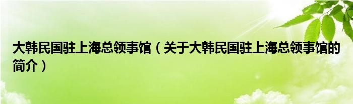 大韓民國駐上?？傤I(lǐng)事館（關(guān)于大韓民國駐上海總領(lǐng)事館的簡介）