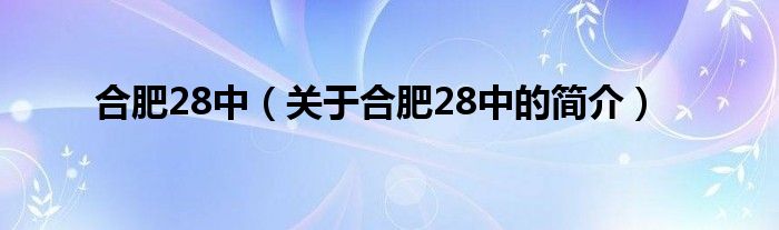 合肥28中（關(guān)于合肥28中的簡介）