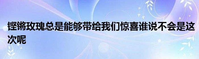 鏗鏘玫瑰總是能夠帶給我們驚喜誰說不會是這次呢