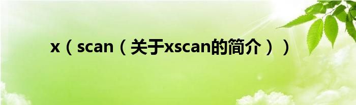 x（scan（關(guān)于xscan的簡介））