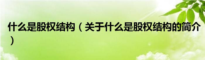 什么是股權(quán)結(jié)構(gòu)（關(guān)于什么是股權(quán)結(jié)構(gòu)的簡(jiǎn)介）