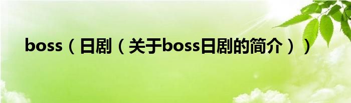 boss（日?。P(guān)于boss日劇的簡(jiǎn)介））