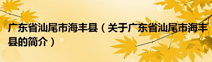 廣東省汕尾市海豐縣（關于廣東省汕尾市海豐縣的簡介）