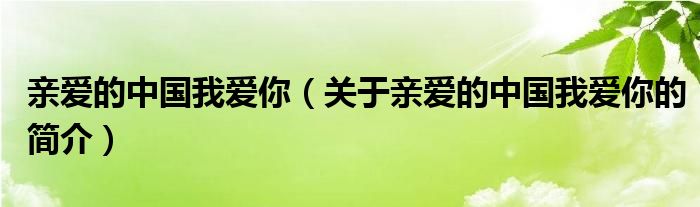 親愛的中國我愛你（關(guān)于親愛的中國我愛你的簡介）