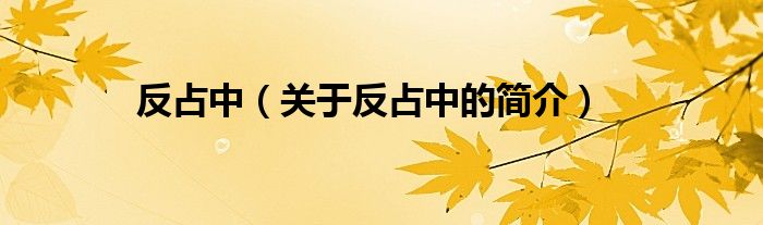 反占中（關(guān)于反占中的簡(jiǎn)介）