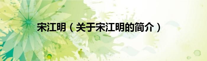 宋江明（關(guān)于宋江明的簡(jiǎn)介）