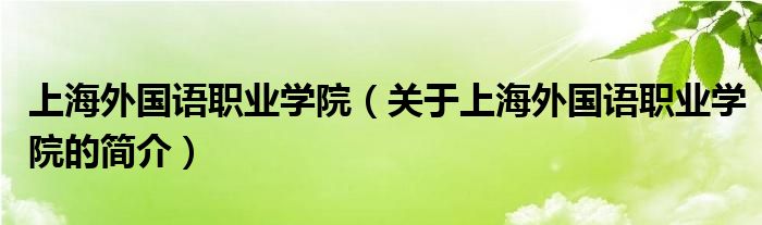 上海外國語職業(yè)學(xué)院（關(guān)于上海外國語職業(yè)學(xué)院的簡(jiǎn)介）