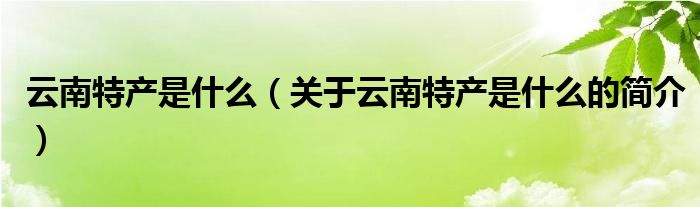 云南特產是什么（關于云南特產是什么的簡介）