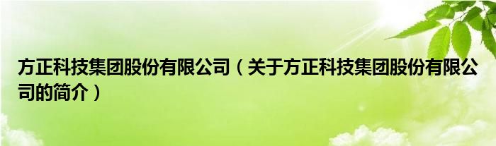 方正科技集團股份有限公司（關(guān)于方正科技集團股份有限公司的簡介）