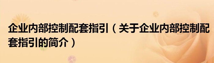 企業(yè)內部控制配套指引（關于企業(yè)內部控制配套指引的簡介）