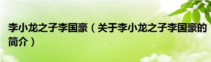 李小龍之子李國豪（關(guān)于李小龍之子李國豪的簡介）