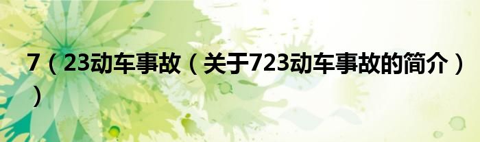 7（23動車事故（關(guān)于723動車事故的簡介））