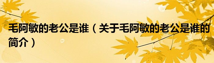 毛阿敏的老公是誰（關(guān)于毛阿敏的老公是誰的簡介）