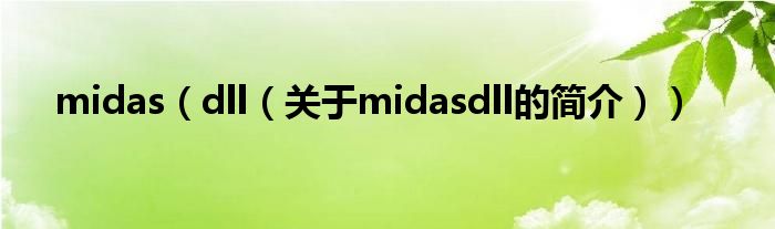 midas（dll（關(guān)于midasdll的簡介））