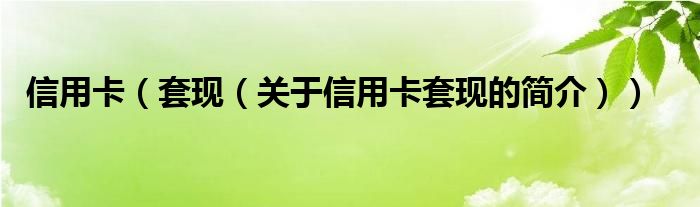 信用卡（套現(xiàn)（關(guān)于信用卡套現(xiàn)的簡介））