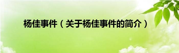 楊佳事件（關(guān)于楊佳事件的簡介）