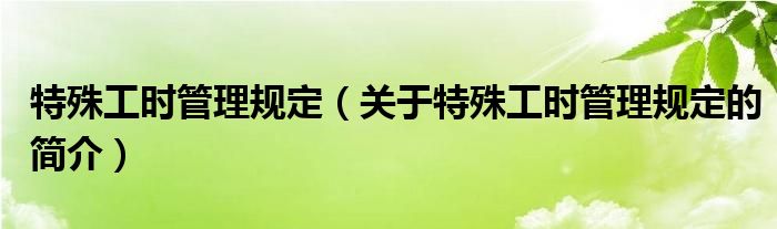 特殊工時管理規(guī)定（關于特殊工時管理規(guī)定的簡介）