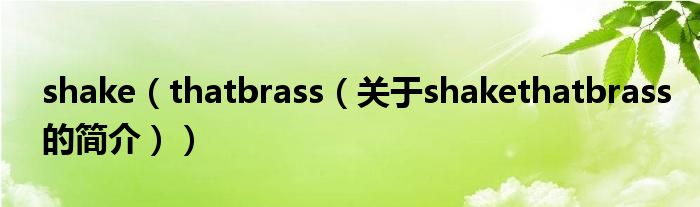 shake（thatbrass（關(guān)于shakethatbrass的簡介））