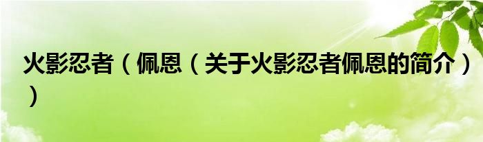 火影忍者（佩恩（關(guān)于火影忍者佩恩的簡介））