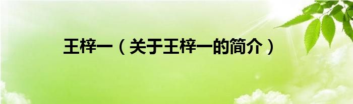 王梓一（關(guān)于王梓一的簡(jiǎn)介）