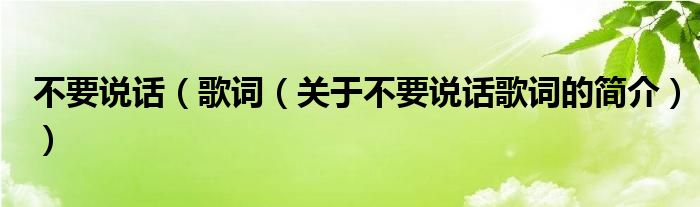 不要說話（歌詞（關(guān)于不要說話歌詞的簡介））