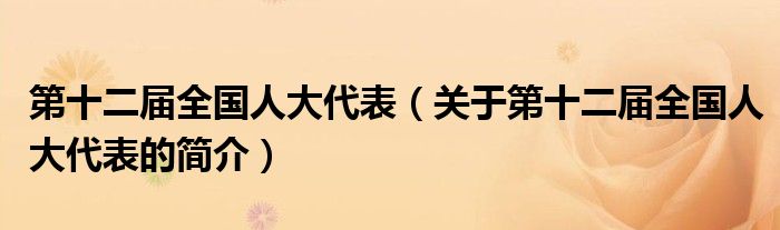 第十二屆全國(guó)人大代表（關(guān)于第十二屆全國(guó)人大代表的簡(jiǎn)介）