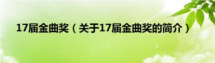 17屆金曲獎(jiǎng)（關(guān)于17屆金曲獎(jiǎng)的簡(jiǎn)介）