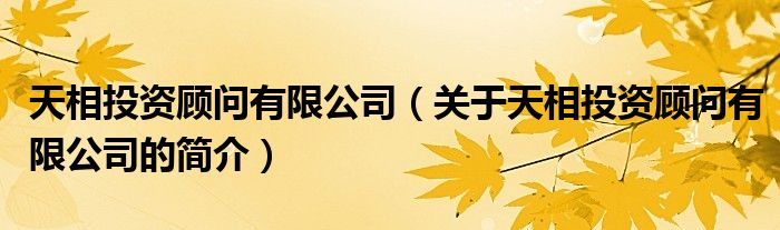 天相投資顧問有限公司（關(guān)于天相投資顧問有限公司的簡介）