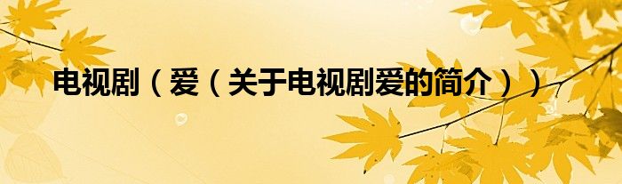 電視?。◥?ài)（關(guān)于電視劇愛(ài)的簡(jiǎn)介））