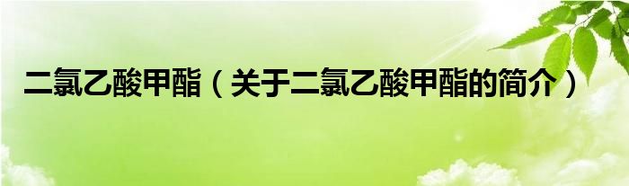 二氯乙酸甲酯（關(guān)于二氯乙酸甲酯的簡介）