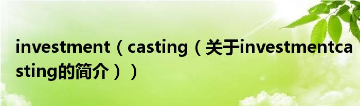 investment（casting（關(guān)于investmentcasting的簡(jiǎn)介））