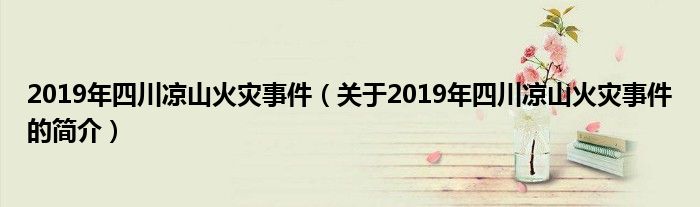 2019年四川涼山火災事件（關于2019年四川涼山火災事件的簡介）