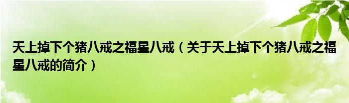 天上掉下個豬八戒之福星八戒（關(guān)于天上掉下個豬八戒之福星八戒的簡介）